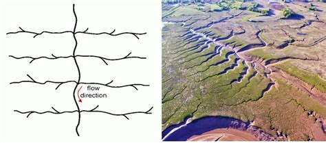 Geography Form Three Topic 5 Map Reading And Interpretation Msomi