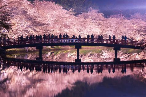 Aomori Prefecture Hirosaki Cherry Blossom Festival Good Luck Trip