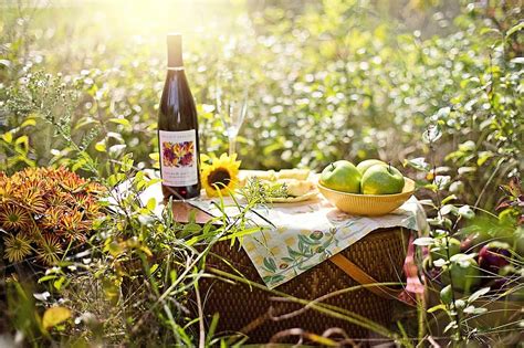 Picnic Wine Apples Fall Autumn Woman Outdoors Relaxation