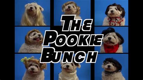 The Pookie Bunch The Brady Bunch Opening Theme Parody Youtube