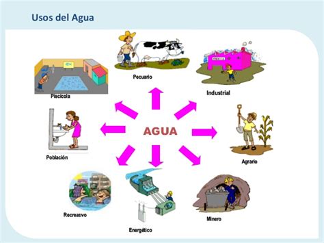 Usos Correctos Del Agua