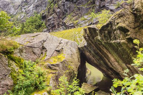 Rocks And Stones Cliffs With Green Moss Stock Image Image Of Nature