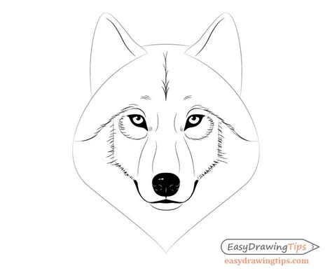 How To Draw A Wolf Face And Head Step By Step Easydrawingtips Wolf