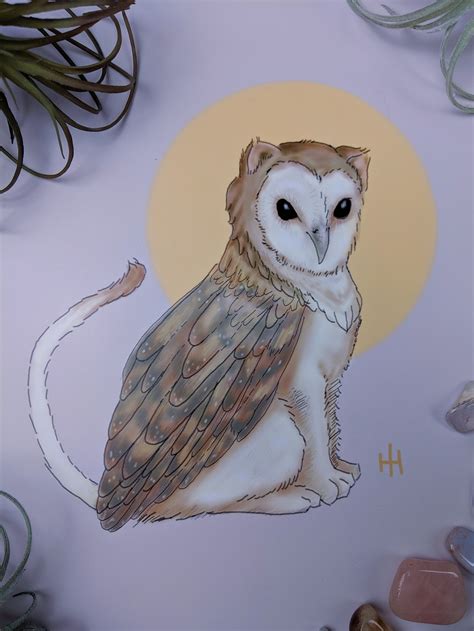 Cat Owl Digital Art Print 5x7 8x10 Etsy