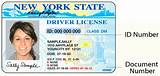 Images of What Age Do You Get Drivers License