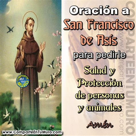 OraciÓn A San Francisco De AsÍs Para Pedirle Salud Y ProtecciÓn De