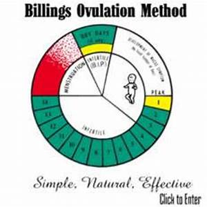 Natural Family Planning Ovulation Methodof Nfp Hubpages