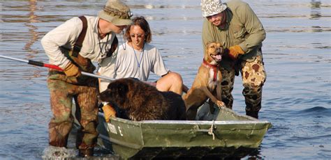 How to get grants for animal rescue | John Wether bee