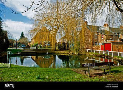 Wyre Pond Haxby Yorkshire Stock Photo Alamy