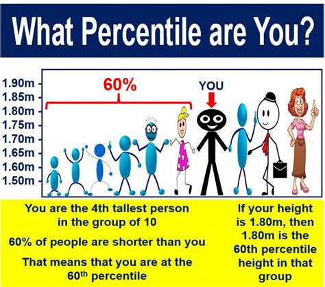 What Is Percentile Definition And Meaning
