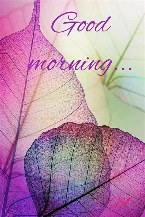 ปักพินโดย Mamta Yadav ใน Good Morning อรุณสวัสดิ์ กุหลาบสีชมพู ธรรมชาติ