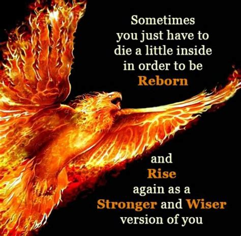 Reborn Phoenix Quotes Inspirational Quotes Words Of Wisdom