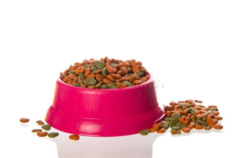 Dry Pet Food For Dogs And Cats In A Bowl And Loose On White Background