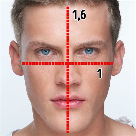 A Plastic Surgeon Uses The Golden Ratio To Find 10 Of The Most Handsome