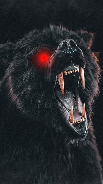 Top 132 Scary Animal Wallpapers