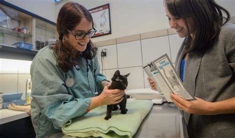Manage your policy online, file claims for benefits, and access helpful. Veterinary services | BC SPCA