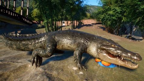 Planet Zoo Saltwater Crocodile Gameplay Pc Hd 1080p60fps Youtube