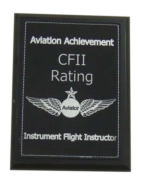 Certified Instrument Flight Instructor Cfii Aviation Etsy