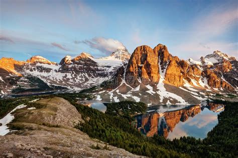 Banff Montering Assiniboine Kanada Fotografering För Bildbyråer Bild