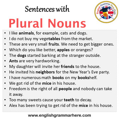 Examples Of Plural Nouns In Sentences Onlymyenglish Images The Best Porn Website