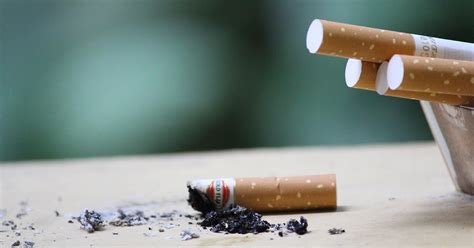 beating the smoking habit can benefit more than the lungs