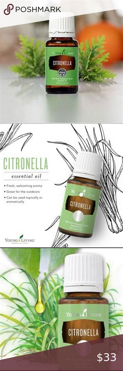 🌿🌿young Living Citronella Essential Oil 15ml🌿🌿 In 2020 Citronella