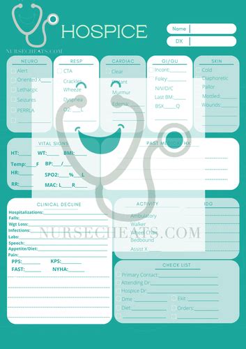 Hospice Assessment Cheat Sheet Mysite