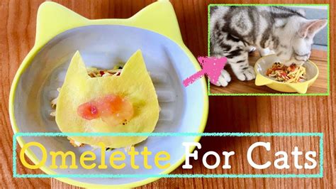 How To Cook Cat Omelette【snacks For Cats】 Youtube