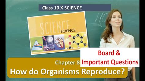 Class 10 Science Board And Important Questions CHAPTER 8 How Do