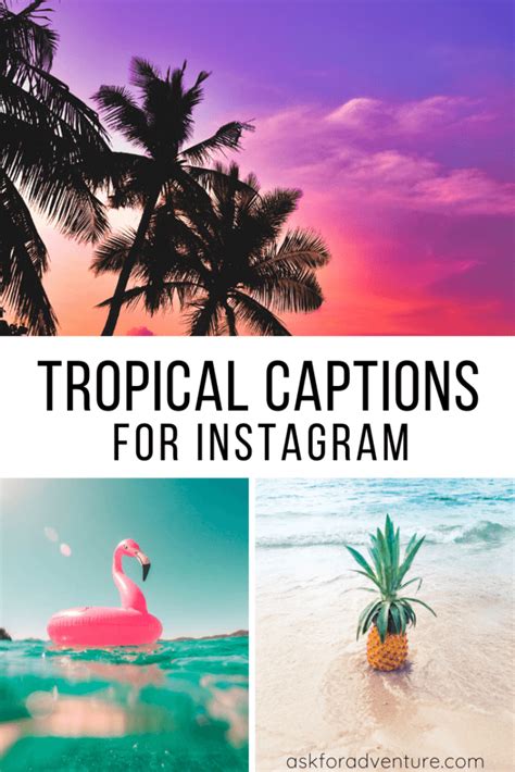 Tropical Quotes For Instagram Shortquotescc