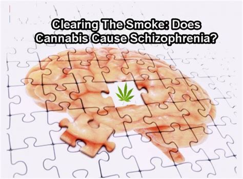 Clearing The Smoke Does Cannabis Cause Schizophrenia