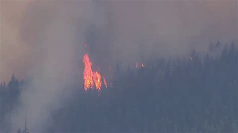 Raw Video Big Hollow Fire Burning In Cougar Washington Youtube
