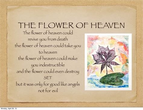 The Flower Of Heaven
