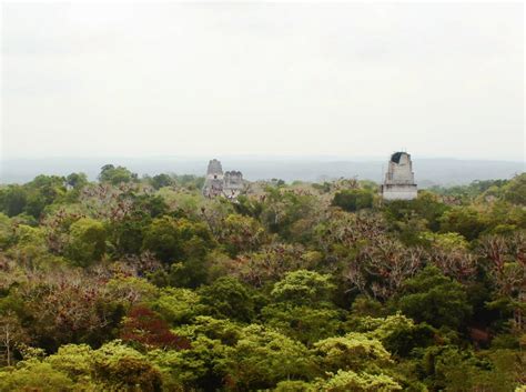 Tikal National Park The Complete Guide