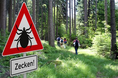 Die aktuellen risikogebiete, hochinzidenzgebiete und virusvariantengebiete finden sie auf der webseite des rki. Zeckenalarm + FSME-Gefahr 2020: Zecken-Hölle Deutschland ...