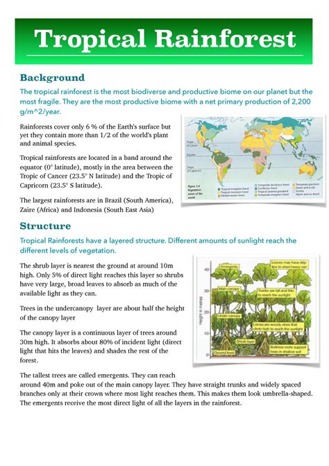 Revision Notes 6 Tropical Rainforest Background The Tropical