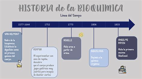 Linea Del Tiempo De Bioquimica Imagesee