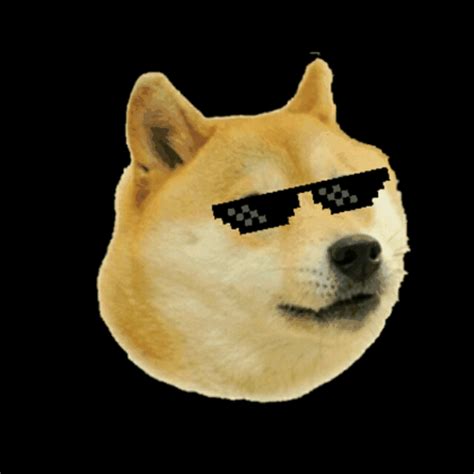 Doge  Wallpaper Download  Doge Meme Funny Memes Png  Images