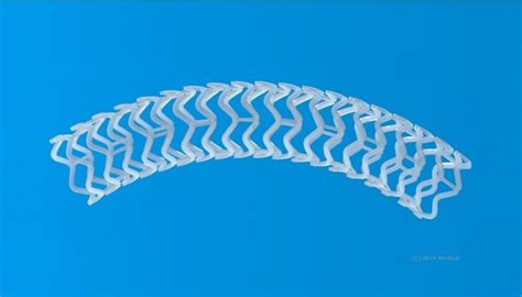 Heart Stents From Reva Medical Do Their Job Then Leave The San Diego