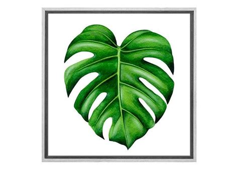 Maybe you would like to learn more about one of these? Buy Monstera Leaf | Canvas Wall Art Print Online Australia ...