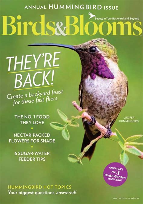 Birds And Blooms Junejuly 2021 Digital