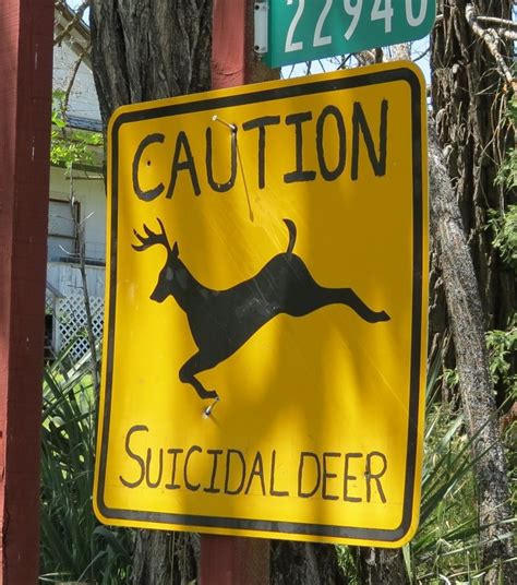 138 Best Images About Funny Animal Signs On Pinterest Around The