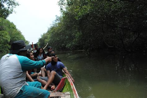 Sengkarut Mangrove Di Pesisir Surabaya Andi Nurroni