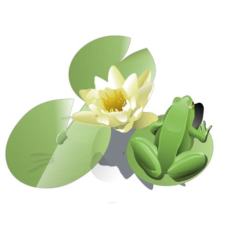 Leland Mcinnes Frog On A Lily Pad Png Svg Clip Art For Web Download