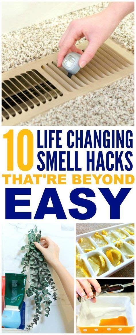 Brilliant Ways To Make Your Home Smell Amazing House Smells House