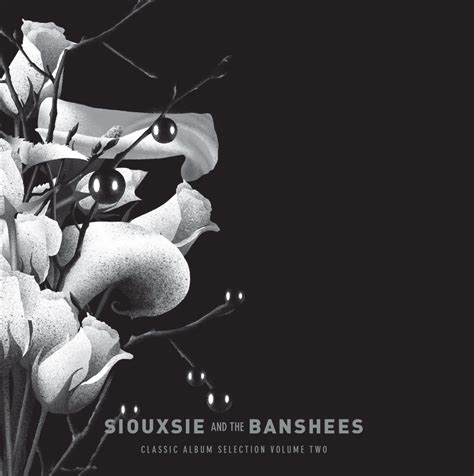 Siouxsie And The Banshees Classic Albums Selections Volume Ii Will Be Released On March