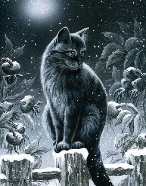 Superbes Illustr De Irina Garmashova Black Cat Art Cats