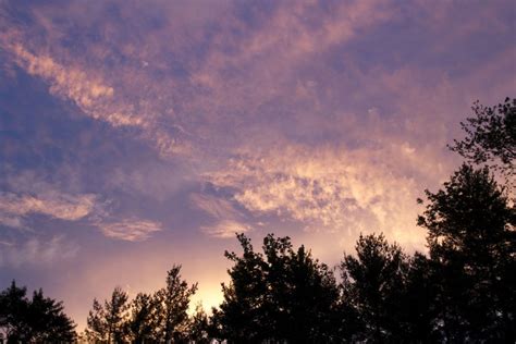 Free Picture Purple Sky Clouds Landscape Clouds Sunset Trees