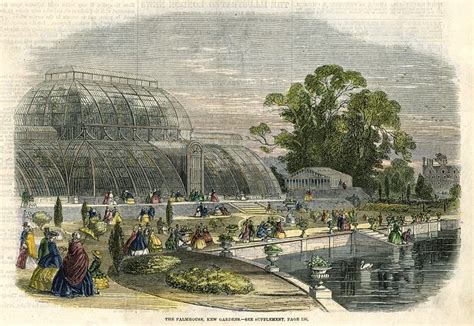 Old And Antique Prints And Maps Kew Gardens The Palmhouse 1859