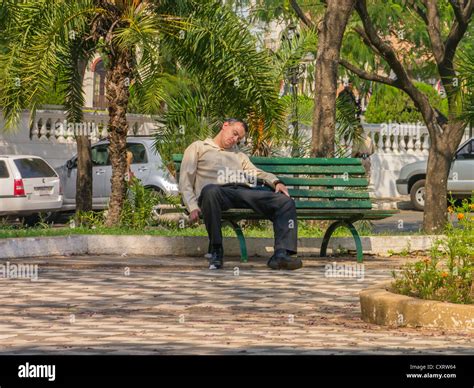 An Adult Male Naps On A Park Bench Under Shade Trees While Taking A